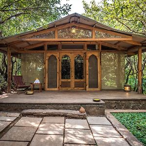The Cabin