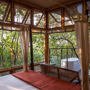 Deluxe King Suite Jungle Machan